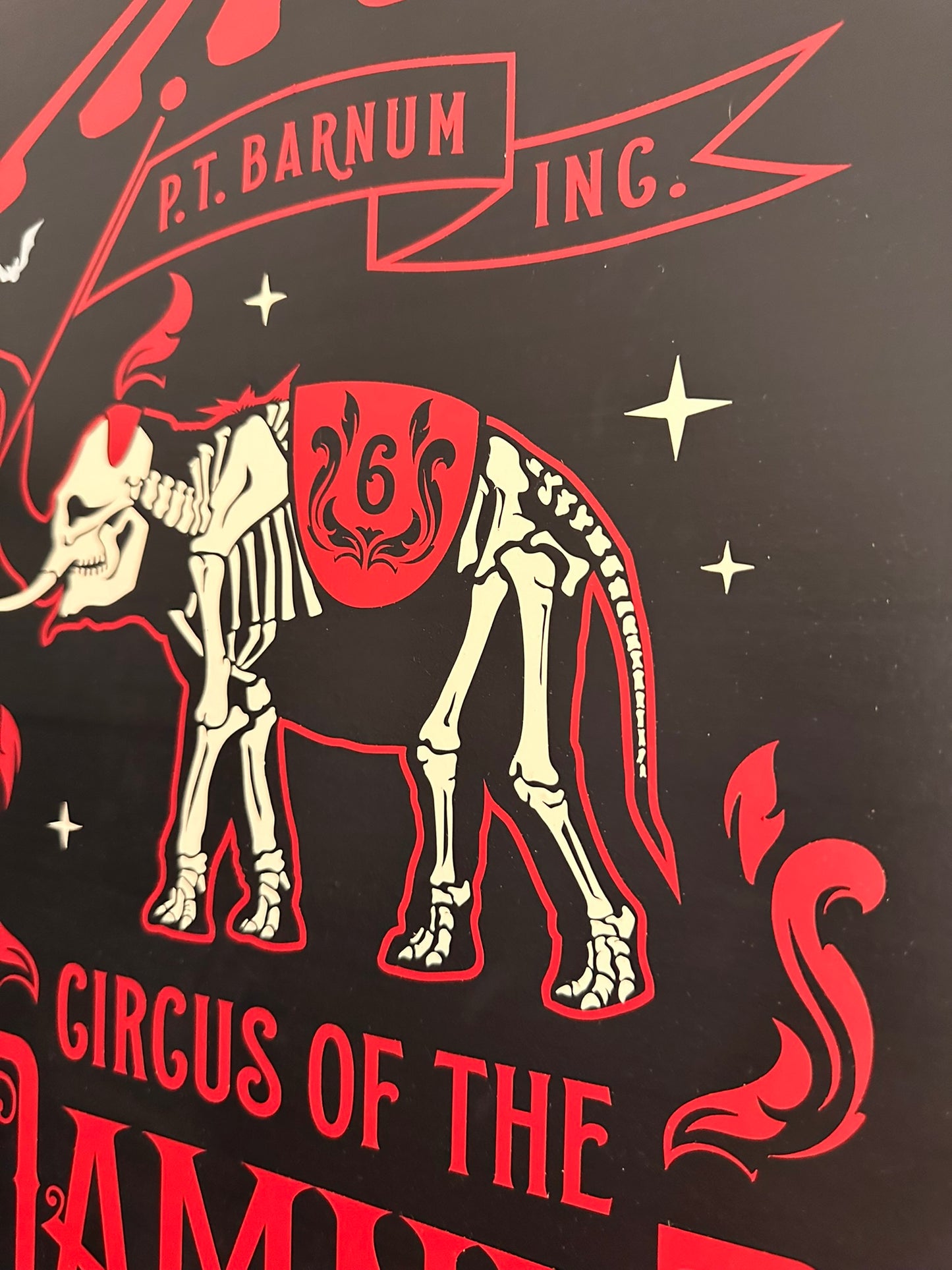 Circus of the Damned / Mr Dark Carnivale