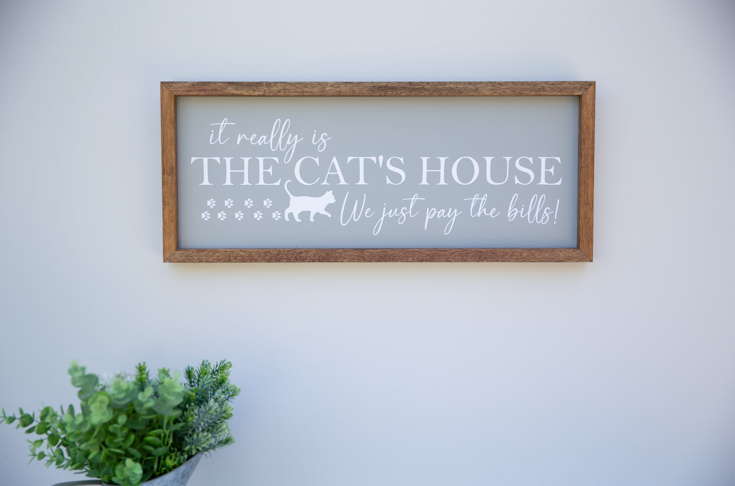 It really is the Cat's House... We just pay the bills