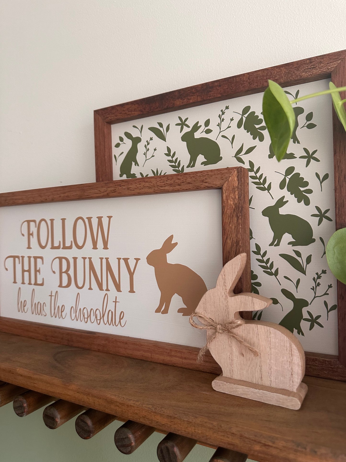 Follow the Bunny