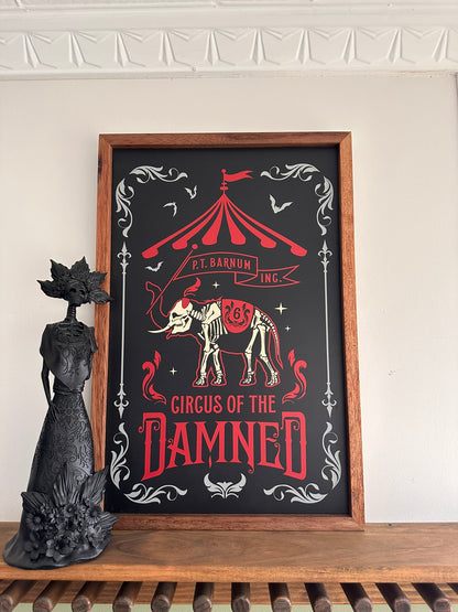 Circus of the Damned / Mr Dark Carnivale